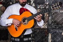 Guitarrista Mariachis En España