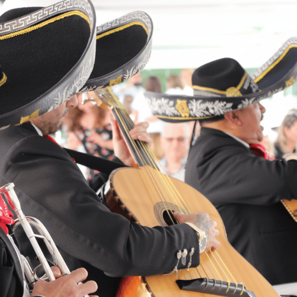 Mariachis en Elche | Serenatas, Bodas y Eventos 24H 51 Primer plano lateral de músicos de mariachi tocando la trompeta, el guitarrón y la vihuela en un evento social.